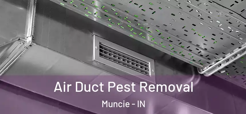  Air Duct Pest Removal Muncie - IN