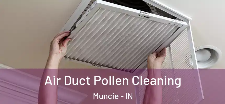  Air Duct Pollen Cleaning Muncie - IN