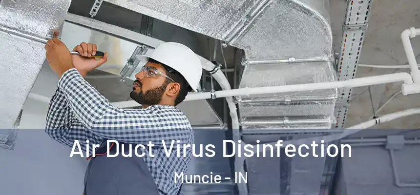  Air Duct Virus Disinfection Muncie - IN