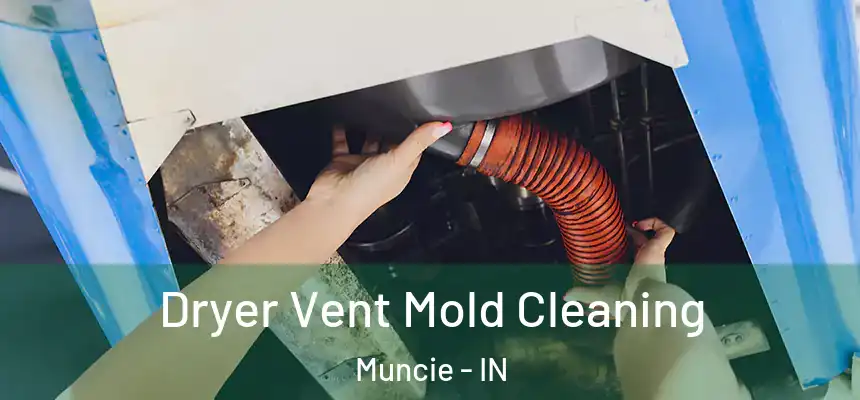 Dryer Vent Mold Cleaning Muncie - IN