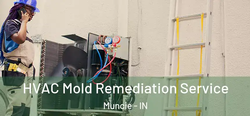 HVAC Mold Remediation Service Muncie - IN