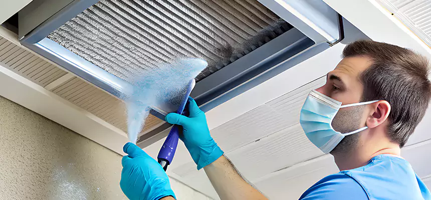 Proactive Dryer Vent & Auxiliary Duct Pollen Cleanup in Muncie, IN