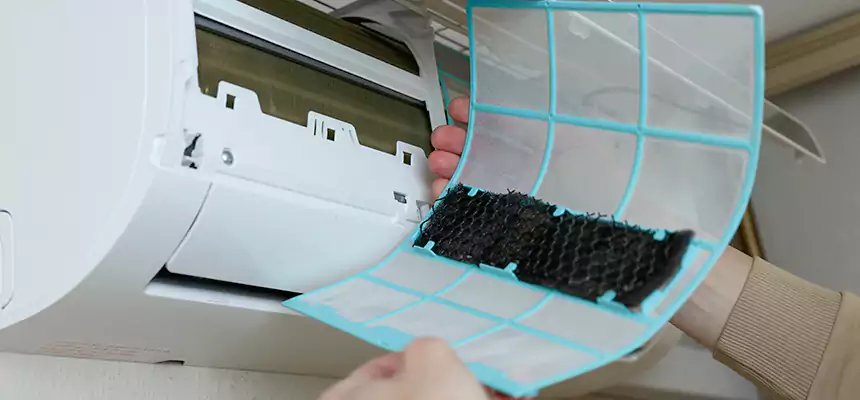 Gentle Ductwork Odor-Control Pet Dander Duct Cleaning in Muncie, IN