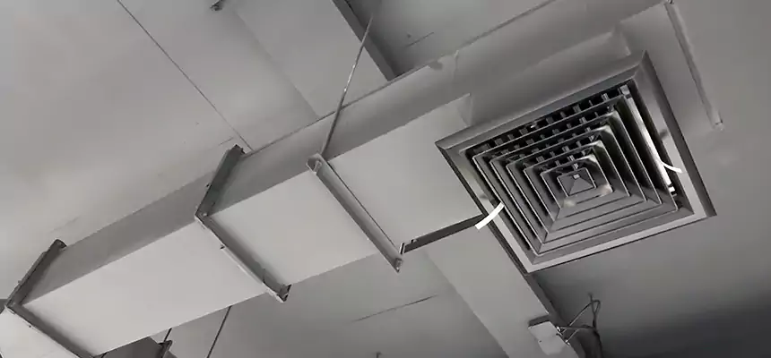 Our Rodent Droppings In Vents Services in Muncie, IN