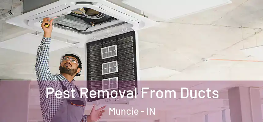 Pest Removal From Ducts Muncie - IN