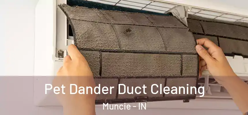  Pet Dander Duct Cleaning Muncie - IN