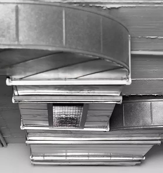 Professional Air Duct Pest Removal in Muncie, IN