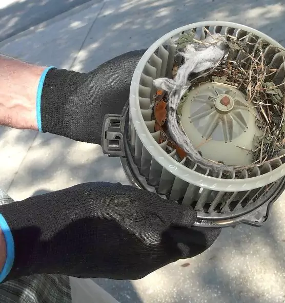 About Air Duct Rat Removal in Muncie, IN