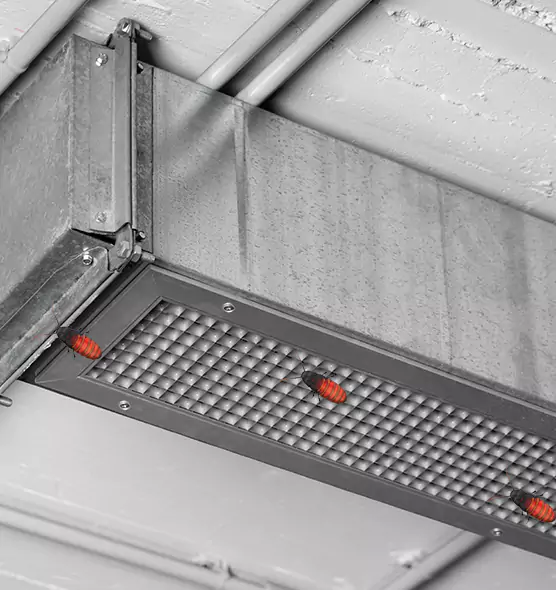 Affordable Insect Removal from Air Ducts in Muncie, IN