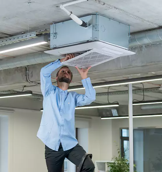 Advanced Rodent Droppings In Vents in Muncie, IN