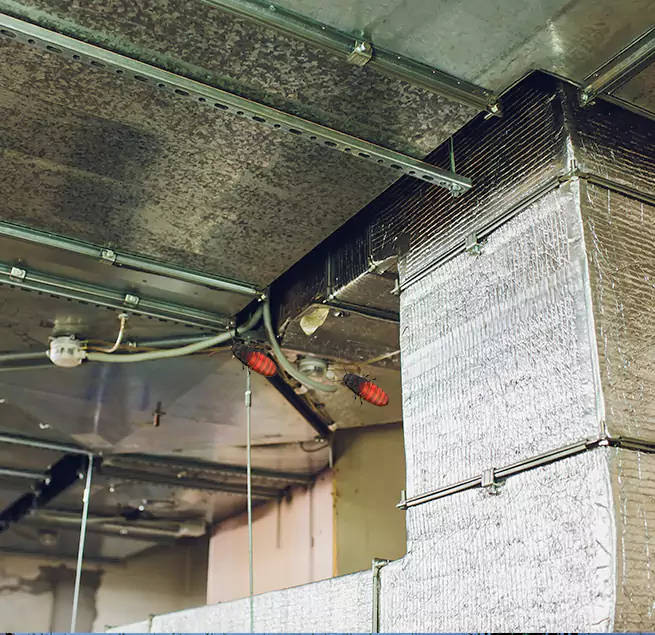 Why Homeowners & Businesses Trust Us in Muncie, IN?