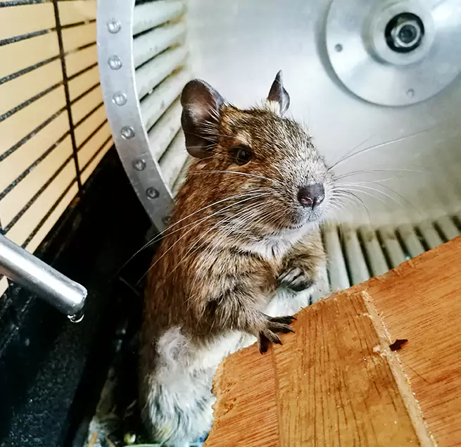 Why Homeowners & Businesses Trust Us Muncie, IN?