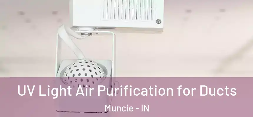  UV Light Air Purification for Ducts Muncie - IN