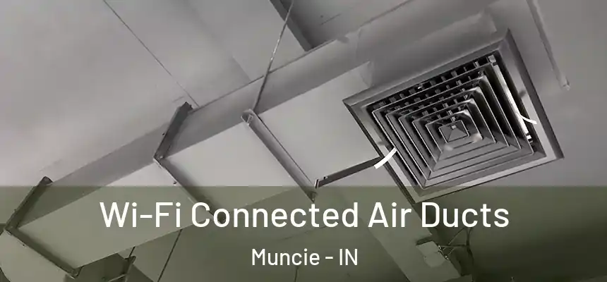  Wi-Fi Connected Air Ducts Muncie - IN